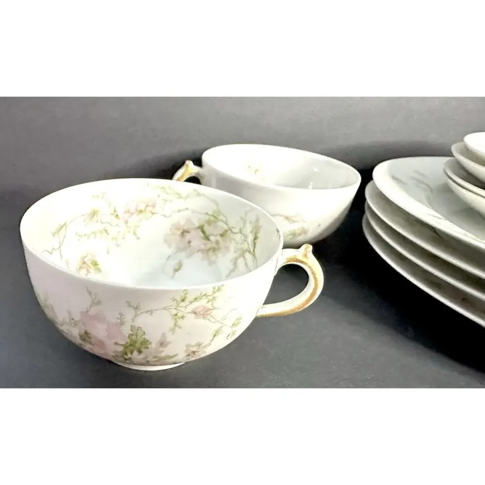 Charles Field Haviland Limoges France Pink Poppies Schleiger 377 Teacup & Saucer